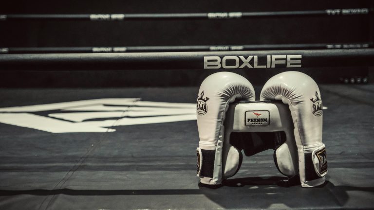 Pro Boxing Gloves Guide: Choosing the Best Gloves for Power and Protection
