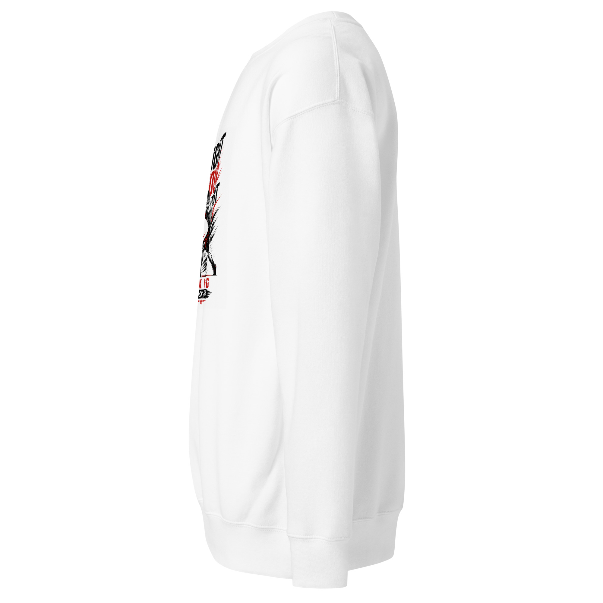Sport Gym unisex sweatshirt